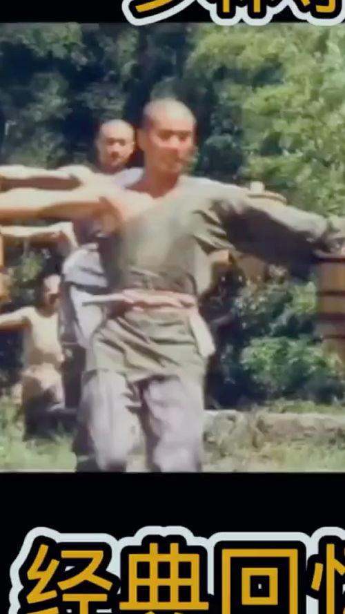 电影《少林寺》,武术传奇，禅武合一的巅峰之作