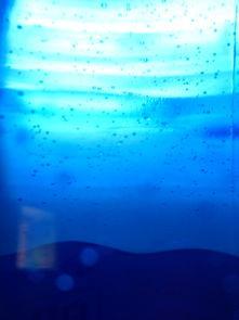 water,探索水的奥秘与重要性