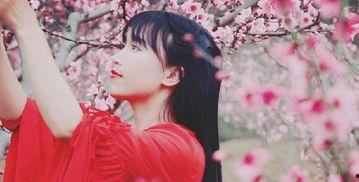 李子柒,李子柒的东方生活美学