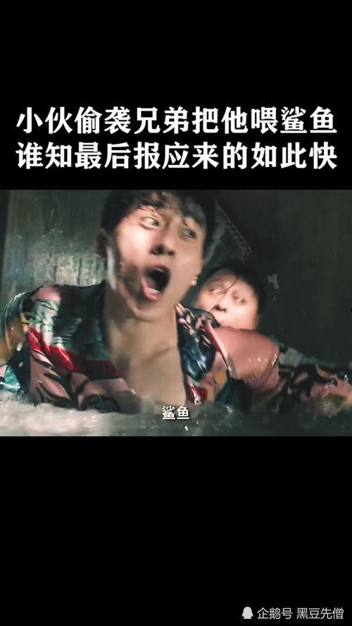 皮皮电影,盘点年度热门影视佳作，带你领略光影魅力