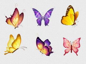 漫画蝴蝶,探寻自然之美与生命奇迹